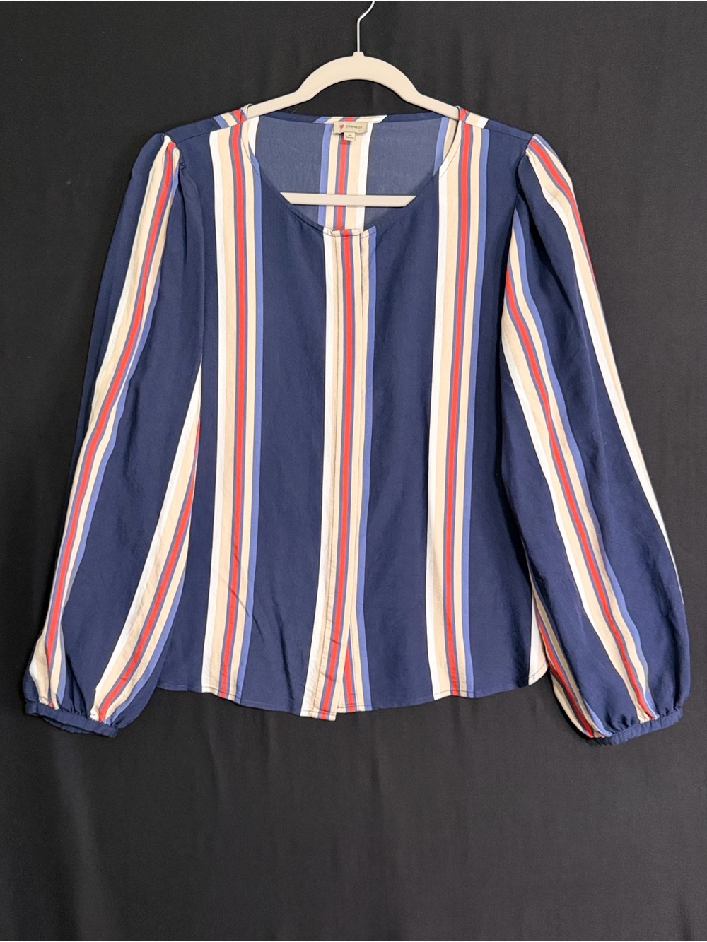Daniel Cremieux Navy Multicolor Vertical Stripe Long-Sleeve Blouse